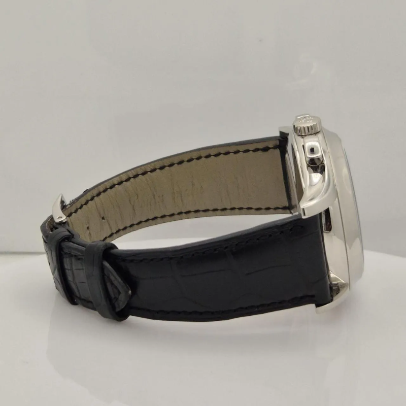 Patek Philippe Complications Watch